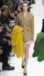 Fashion show Christian Dior fall winter womenswear look 5