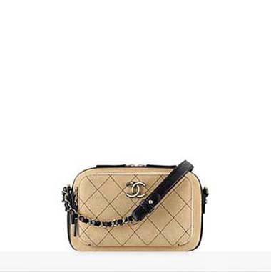 Chanel Bags Fall Winter 2016 2017 For Women Look 12