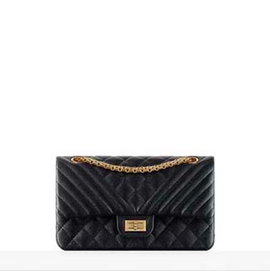 Chanel Bags Fall Winter 2016 2017 For Women Look 2