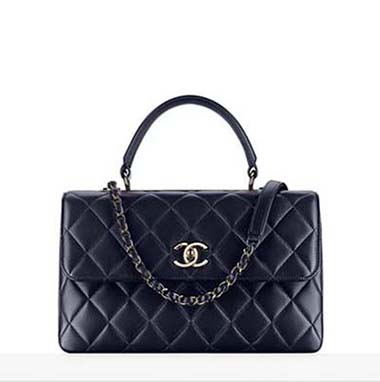 Chanel Bags Fall Winter 2016 2017 For Women Look 24