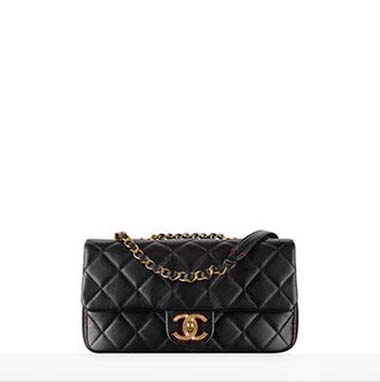 Chanel Bags Fall Winter 2016 2017 For Women Look 37