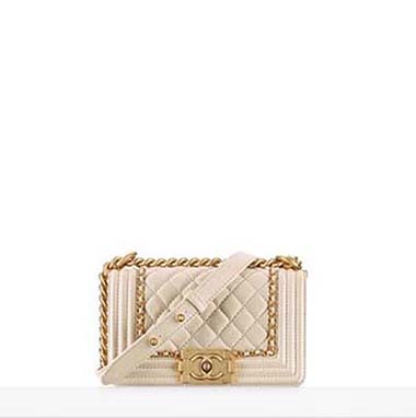 Chanel Bags Fall Winter 2016 2017 For Women Look 46