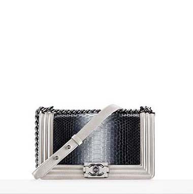 Chanel Bags Fall Winter 2016 2017 For Women Look 5