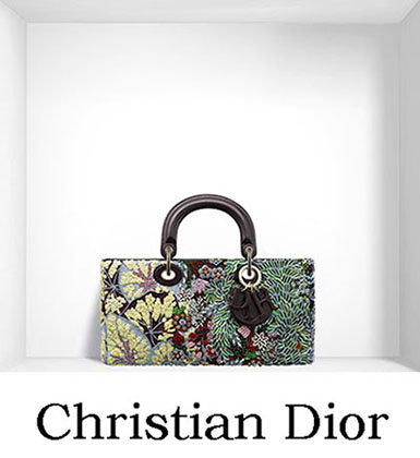 Christian Dior Bags Fall Winter 2016 2017 For Women 16