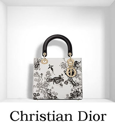 Christian Dior Bags Fall Winter 2016 2017 For Women 17