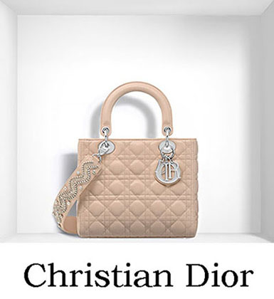 Christian Dior Bags Fall Winter 2016 2017 For Women 18