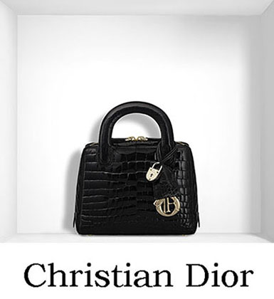 Christian Dior Bags Fall Winter 2016 2017 For Women 21