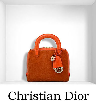 Christian Dior Bags Fall Winter 2016 2017 For Women 22