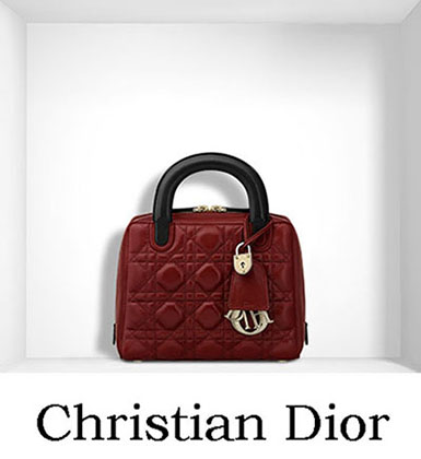 Christian Dior Bags Fall Winter 2016 2017 For Women 26