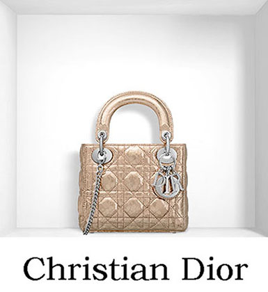 Christian Dior Bags Fall Winter 2016 2017 For Women 7