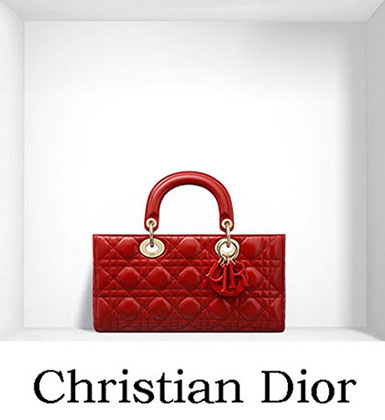 Christian Dior Bags Fall Winter 2016 2017 For Women 8