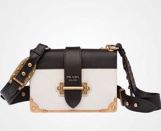 Prada Bags Fall Winter 2016 2017 Handbags For Women 8