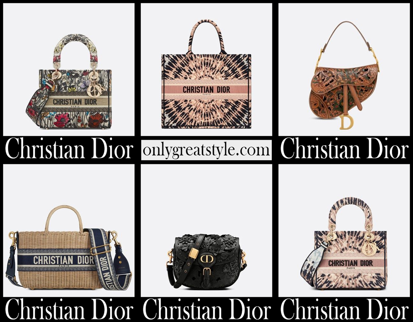 Dior bags 2021 new arrivals womens handbags