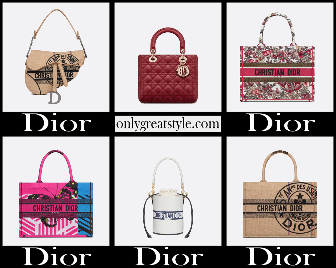Dior bags 2022 new arrivals womens handbags